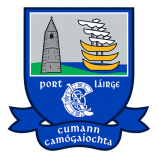 Waterford Camogie